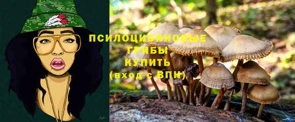 кокаин Алексин
