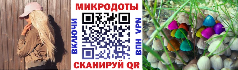 Галлюциногенные грибы Magic Shrooms купить наркотик ссылка на мегу вход Пошехонье