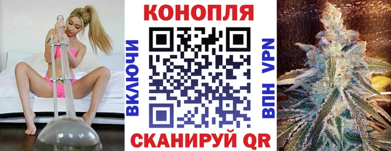 Бошки Шишки Amnesia  даркнет как зайти  Пошехонье 